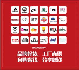 袋鼠大大 以优质取胜，切入社交电商新蓝海